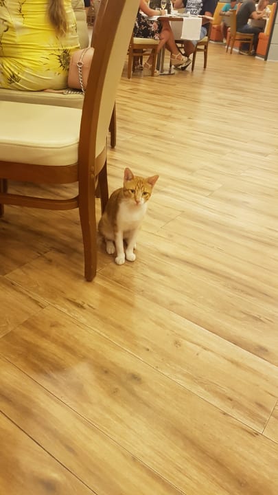 Gastro VONRESORT Golden Coast