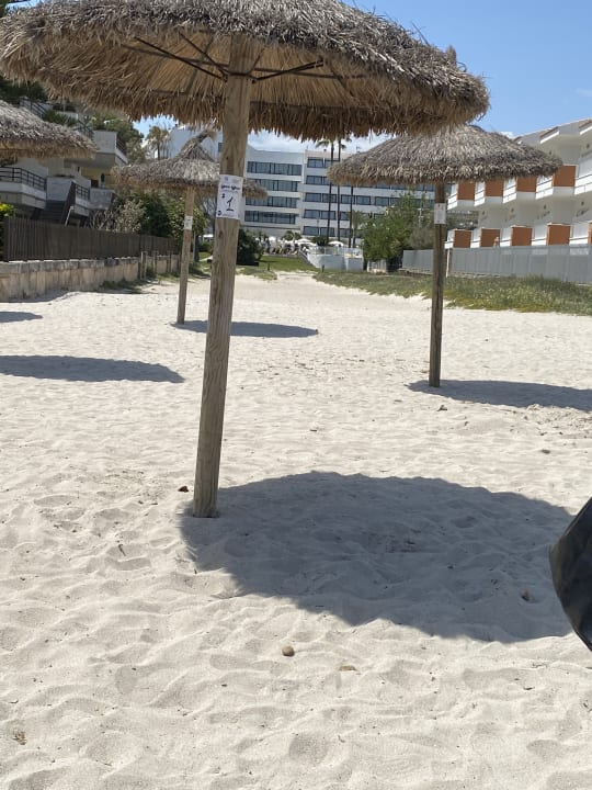 Strand allsun Hotel Eden Alcudia