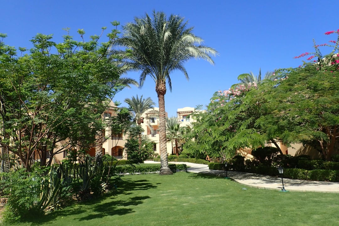 Ein winziger Ausschnitt der Aussenanlage Steigenberger Coraya Beach - Adults only