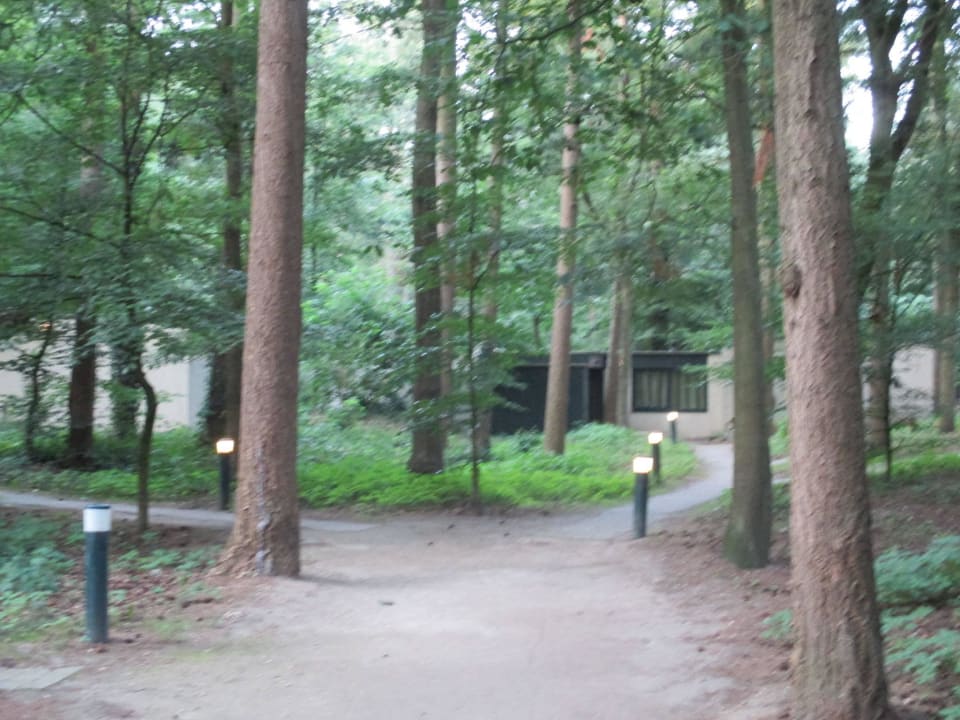 Park Center Parcs Het Heijderbos