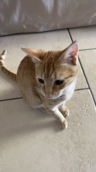 Sonstiges Hotel Villas Caroline