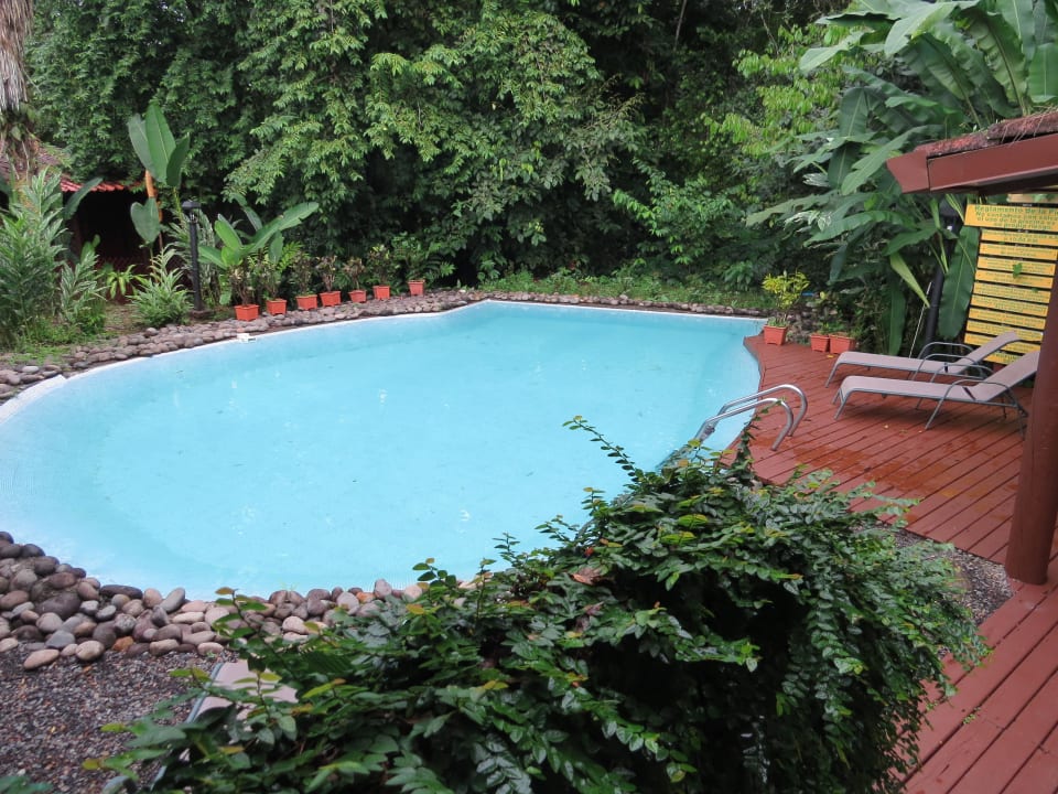 Kleiner Pool La Quinta Sarapiqui Lodge