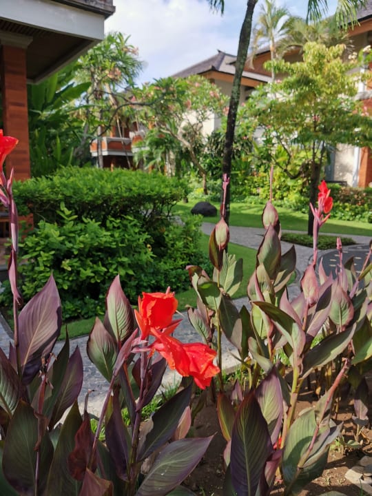 Gartenanlage Bali Mandira Beach Resort & Spa
