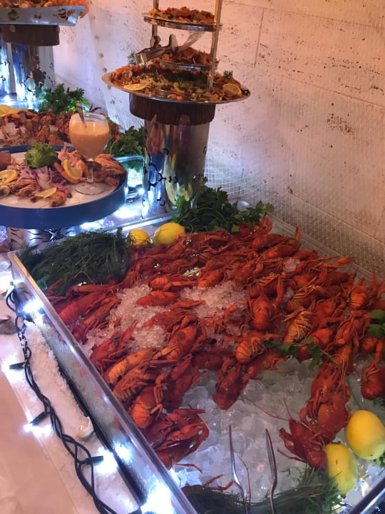 Gastro Acanthus Cennet Barut Collection