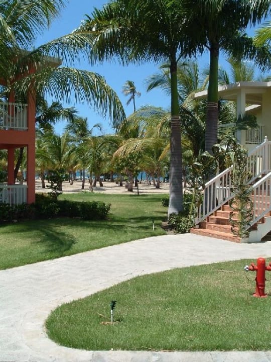 Bungalow Playabachata Hotel