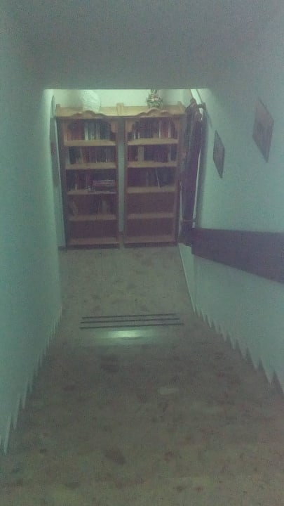 Treppenaufgang mit vielen guten Büchern zum leihen Bergidyll & Hotel Trofana