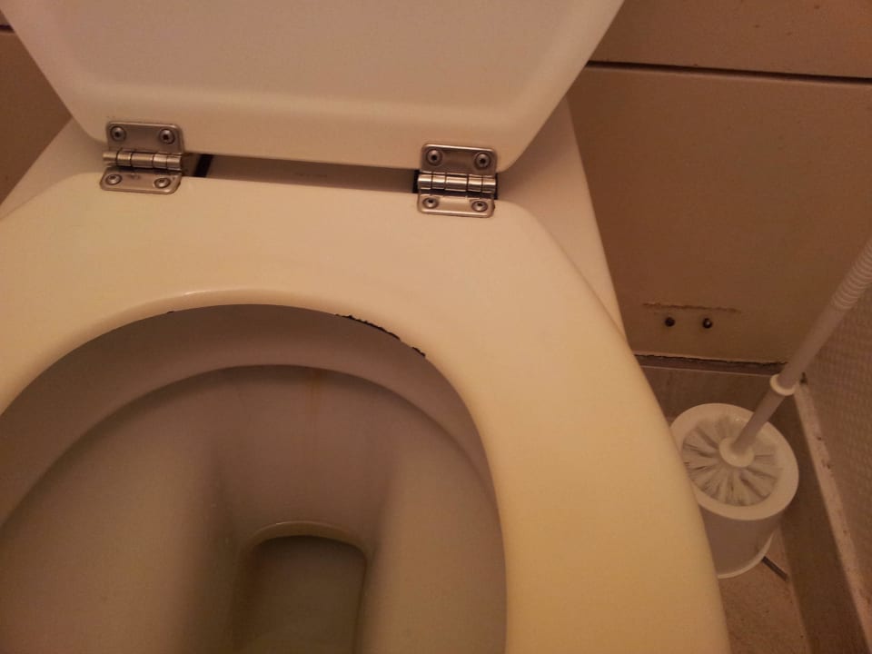 Material am WC Deckel abgeplatzt, rostige Nägel Hotel L'Europe