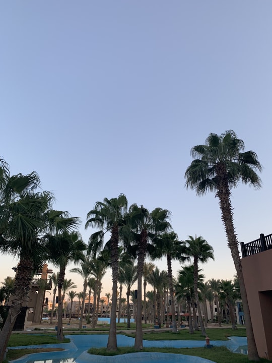 Ausblick Pickalbatros Sands Hotel - Port Ghalib
