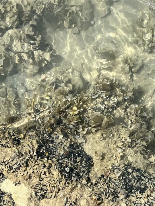 Strand Pickalbatros Alf Leila Wa Leila Resort - Neverland Hurghada