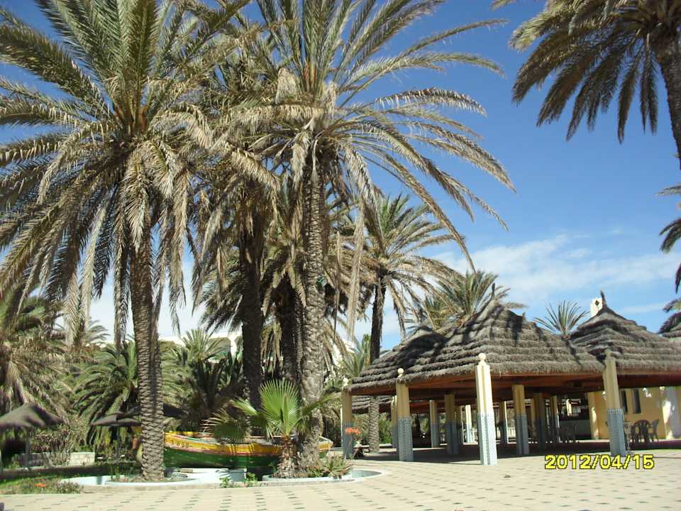 Ogród Hotel Hill Diar