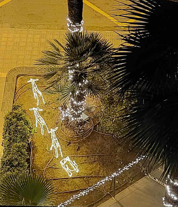 Außenansicht Hotel Riu Festival