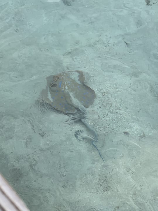 Strand The Breakers Diving & Surfing Lodge