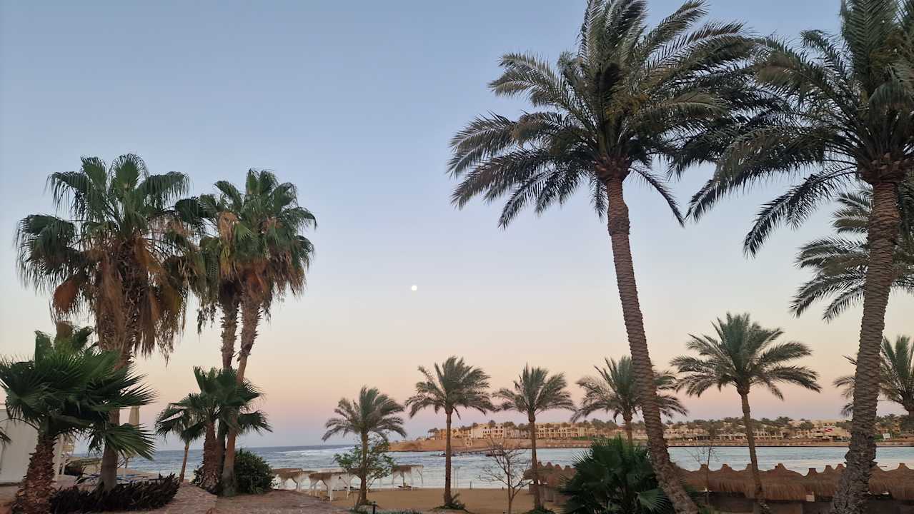 Strand Steigenberger Coraya Beach - Adults only