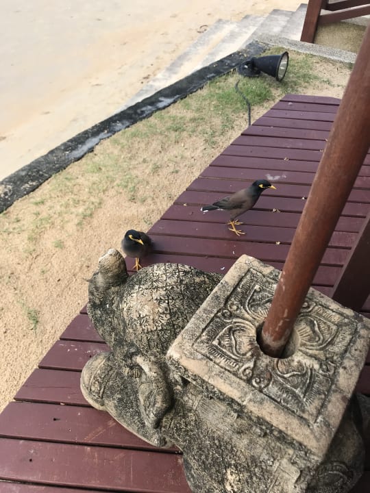 Sonstiges Khaolak Laguna Resort