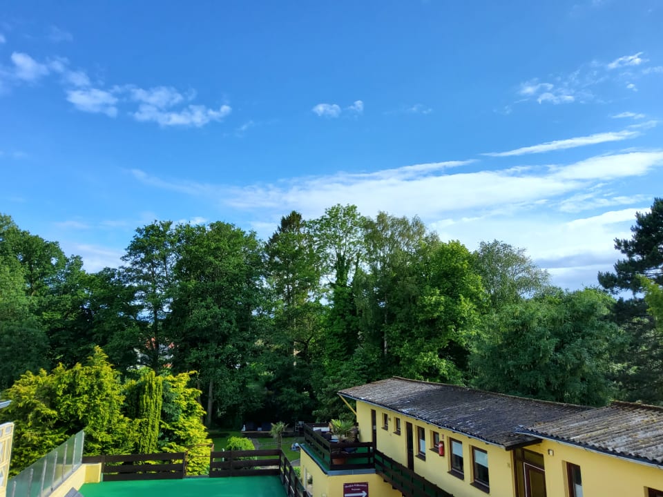 Ausblick Gästehaus Schwentineblick