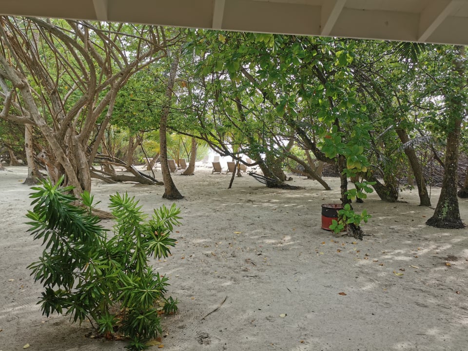 Gartenanlage Embudu Village