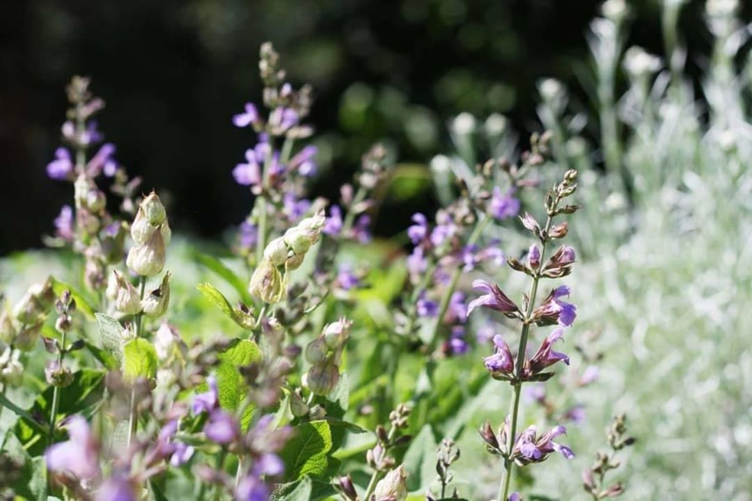 Herbs Hotel Frydl