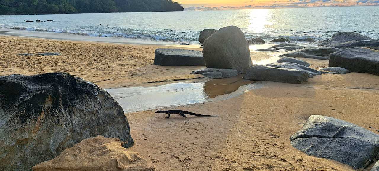 Strand Moracea by Khao Lak Resort