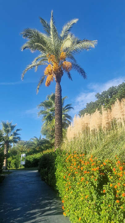 Strand Royal Atlantis Beach Hotel