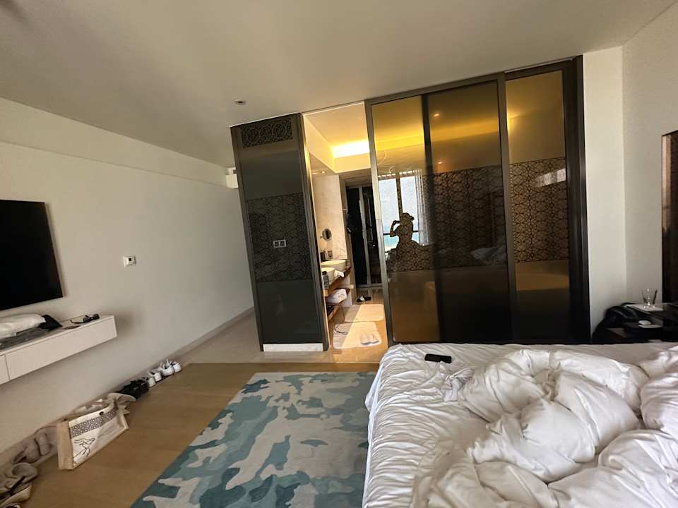 Zimmer Park Hyatt Abu Dhabi Hotel and Villas