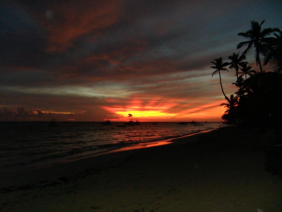 Hotel Grand Palladium Palace Resort, Spa & Casino Hotel Grand Palladium Palace Resort, Spa & Casino