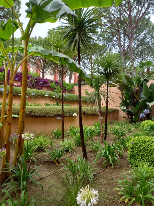 Gartenanlage Hipotels Barrosa Garden