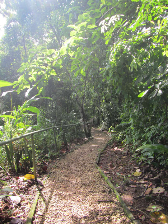 A very nice Golf resort Summit Rainforest & Golf Resort