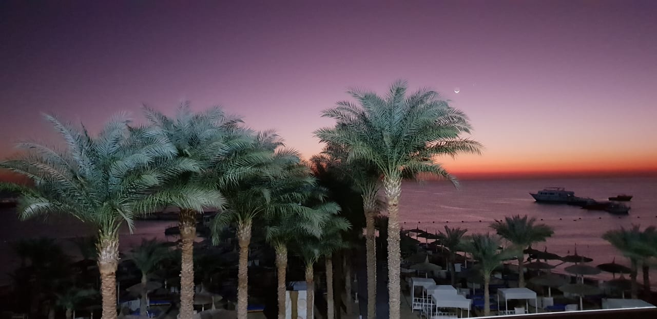 Ausblick Beach Albatros Resort