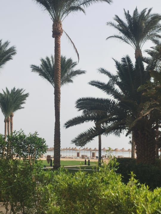 Ausblick Stella Beach Resort & Spa Makadi Bay