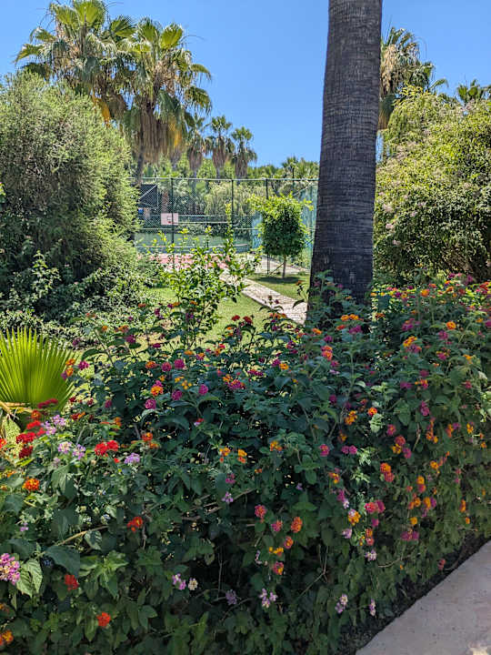 Gartenanlage Royal Atlantis Beach Hotel