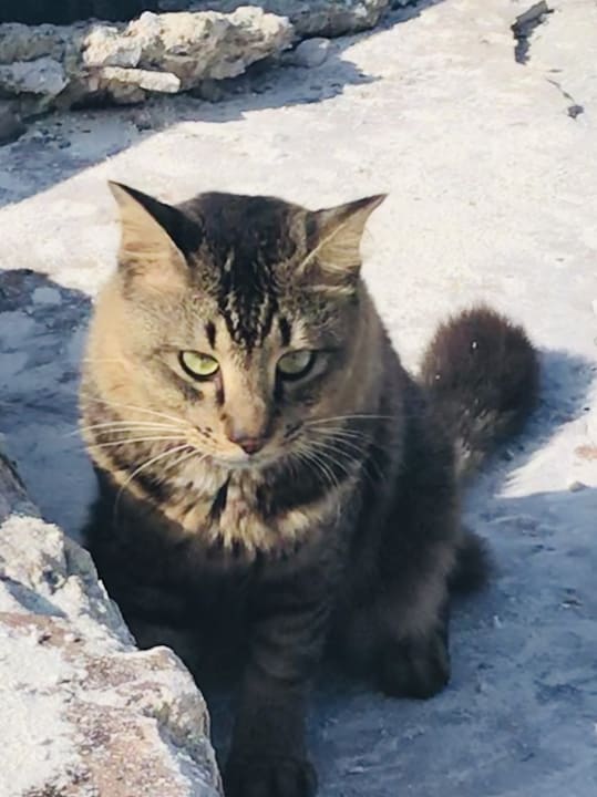 Strand Summer Island Maldives