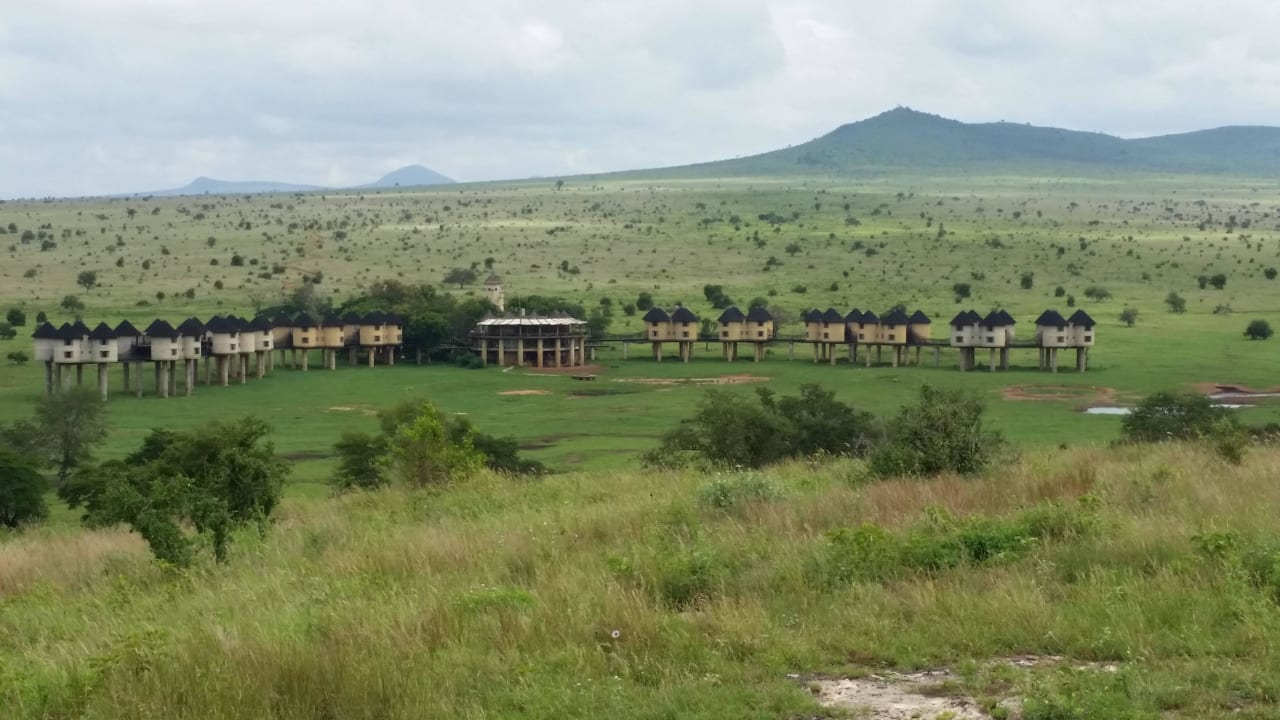 Sarova Salt Lick Game Lodge Salt Lick Safari Lodge