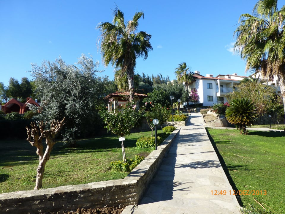 Gartenanlage Arum Barut Collection