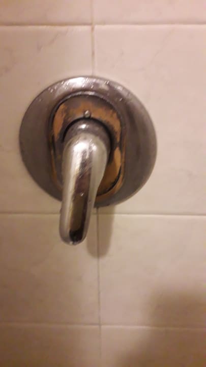 Zimmer Hotel Belle Arti