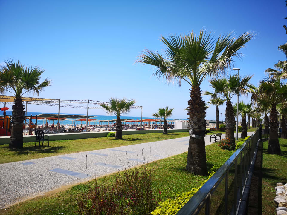 Außenansicht Kamelya Aishen Club