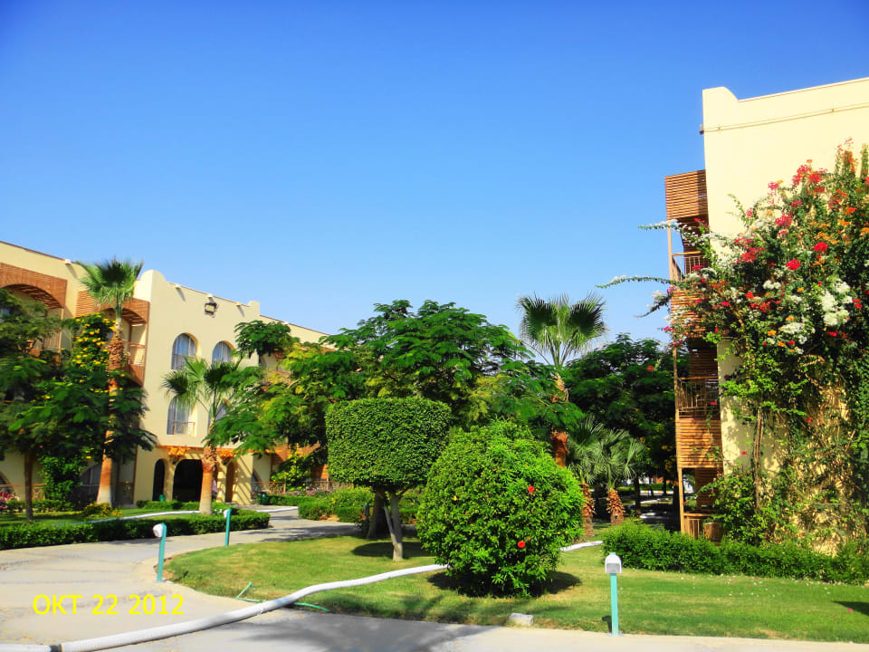 Пейзаж Desert Rose