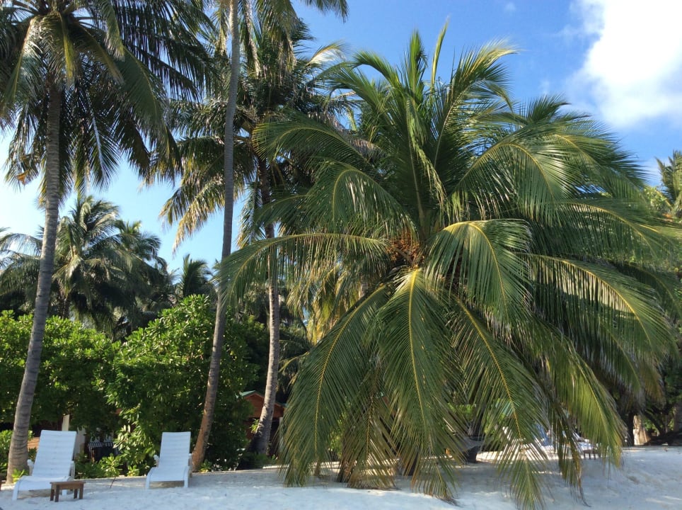 Ostseite Meeru Maldives Resort Island