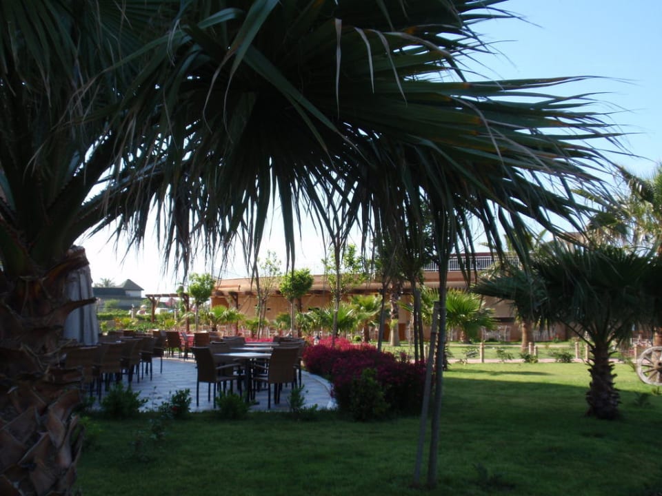 Unter Palmen Seaden Sea World Resort & Spa