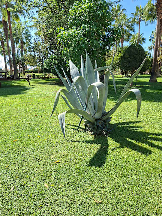 Gartenanlage Saphir Resort & Spa