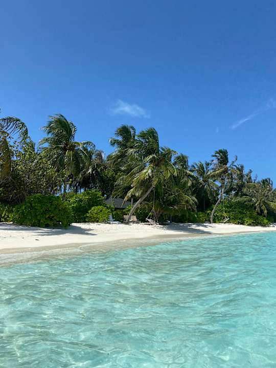 Strand Summer Island Maldives