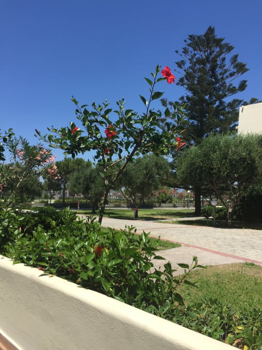 Ausblick Kipriotis Village Resort