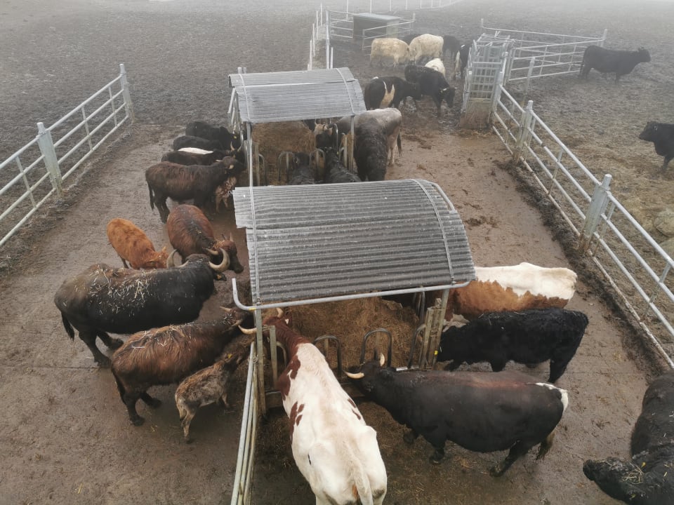 Sport & Freizeit Hotel Reiters Supreme