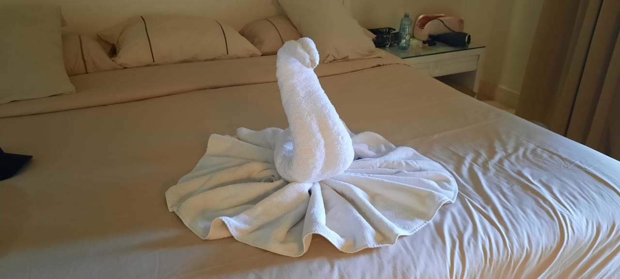 Zimmer Makadi Spa - Adults only