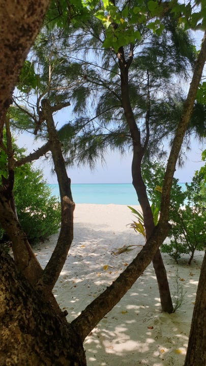 Ausblick Summer Island Maldives