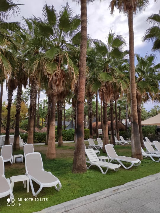 Gartenanlage Hotel Miramare Beach