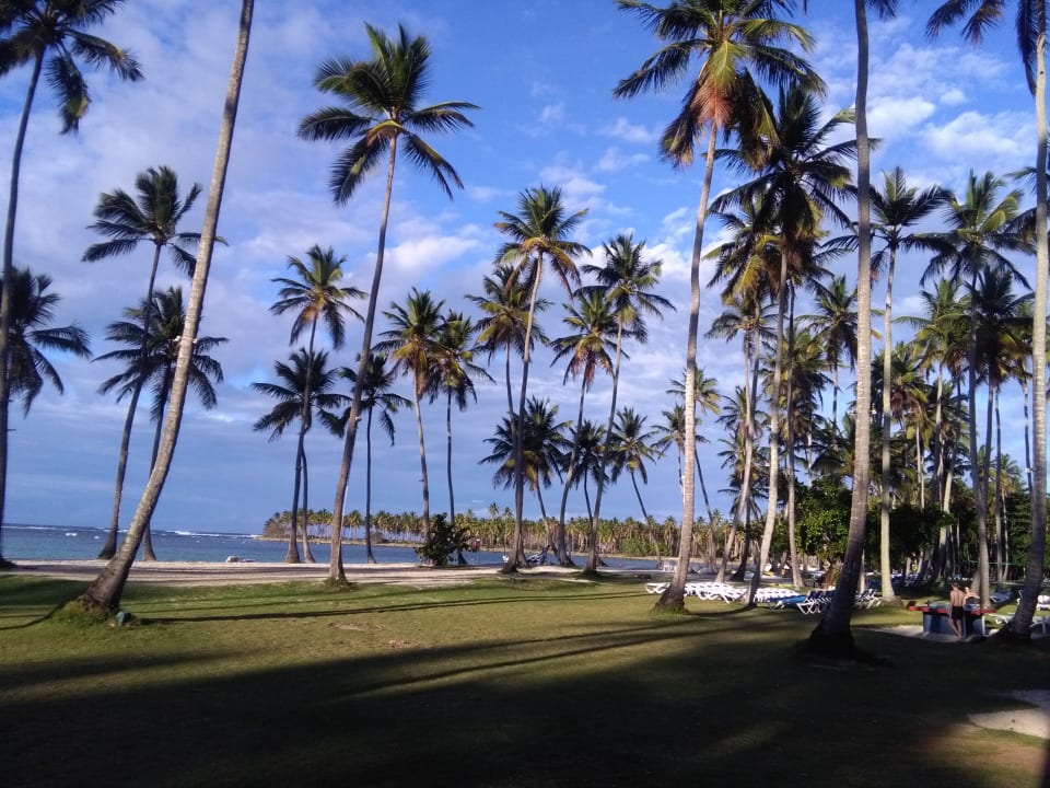 Strand Wyndham Alltra Samana