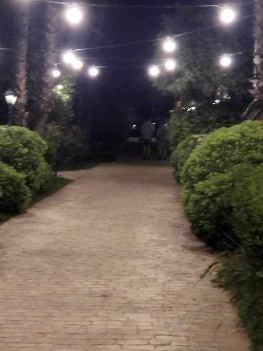 Gartenanlage Belconti Resort Hotel