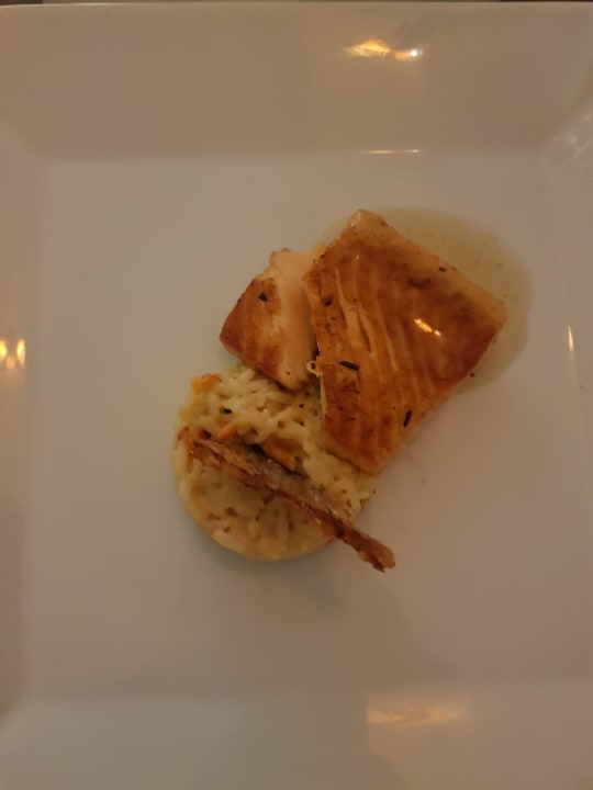 Gastro Hotel Viva Dominicus Beach by Wyndham - All Inclusive Resort