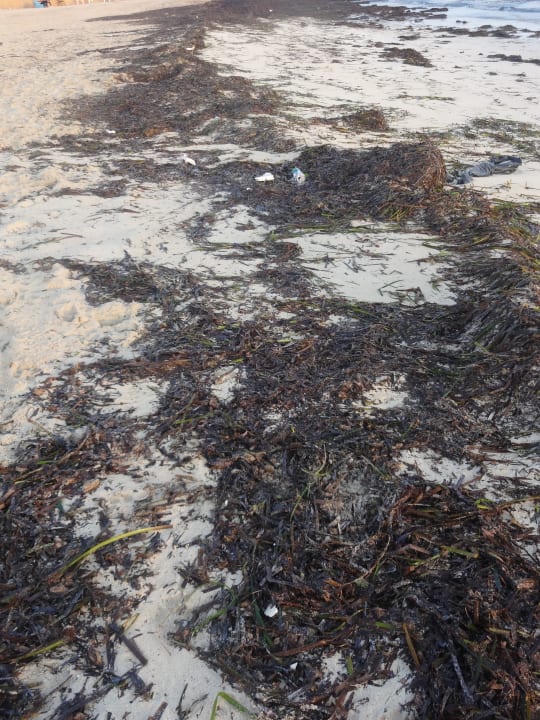 Strand Welcome Meridiana Djerba Hotel