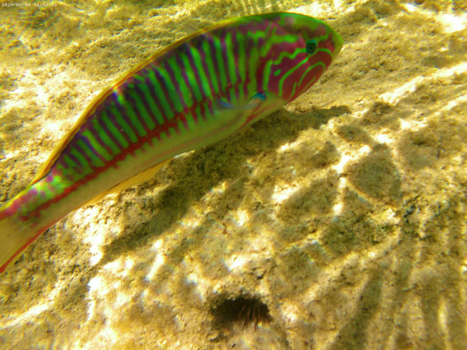 Strand Three Corners Sea Beach Resort